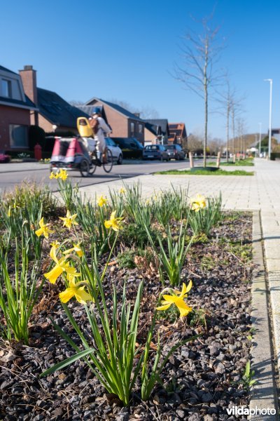 Infiltratiestroken naast een weg