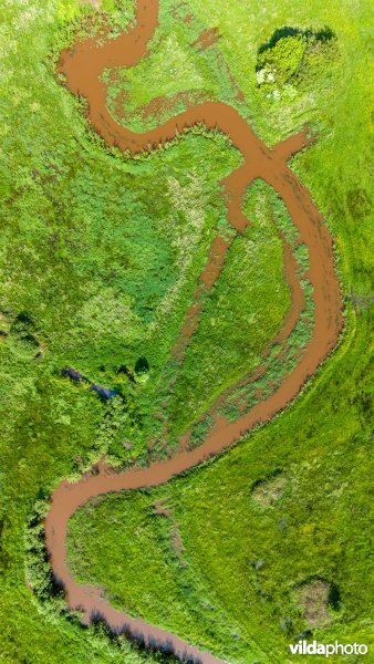 Zwarte Beek meandert door de vallei