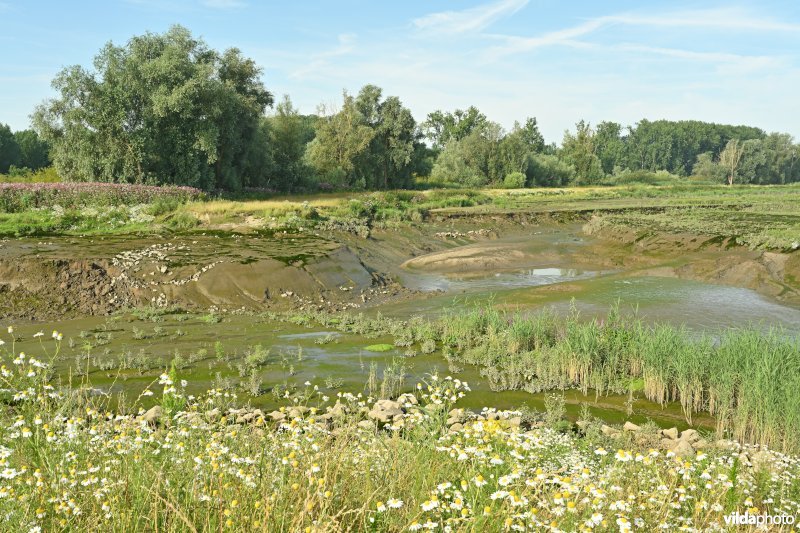 Klein Broek