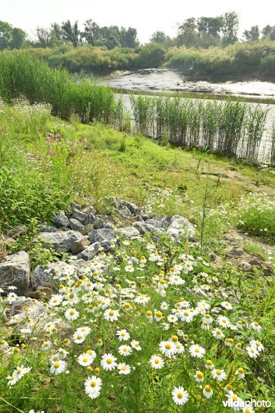 Klein Broek