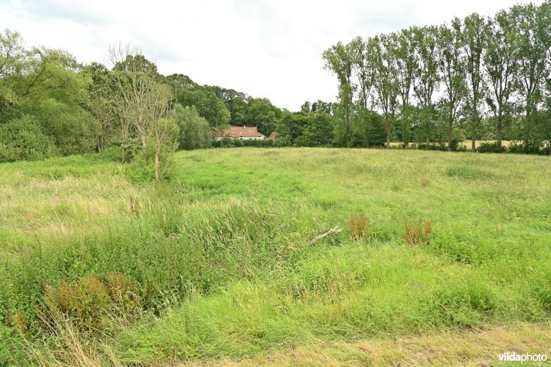 Demervallei: Kokermeanders 