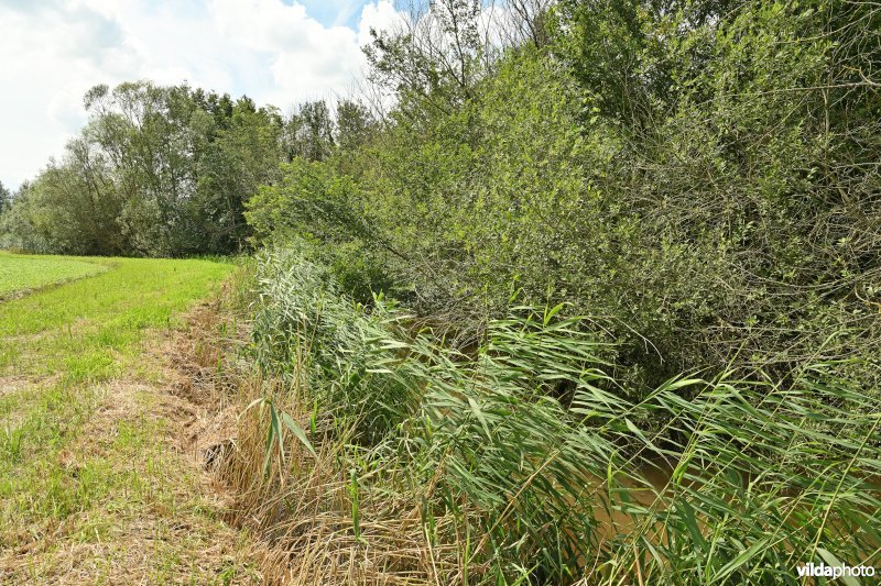 Demervallei: Heuvels Laakvallei 