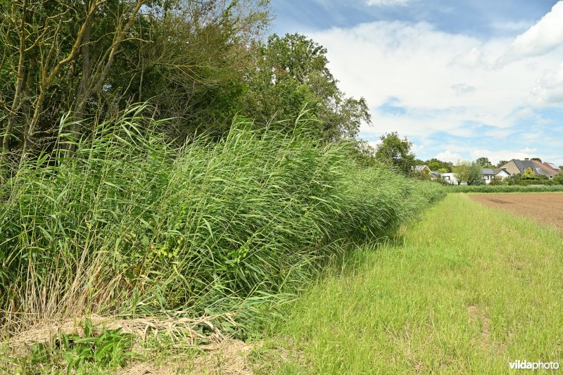 Demervallei: Heuvels Laakvallei 
