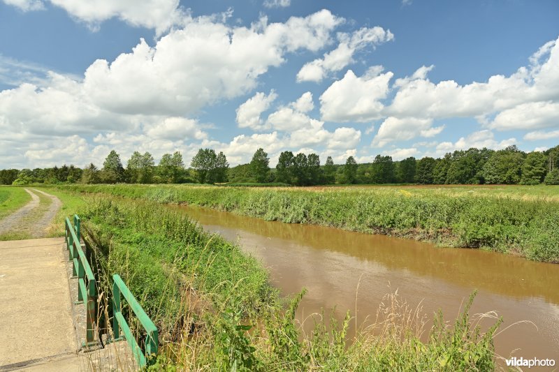 Demervallei: Rommelaar