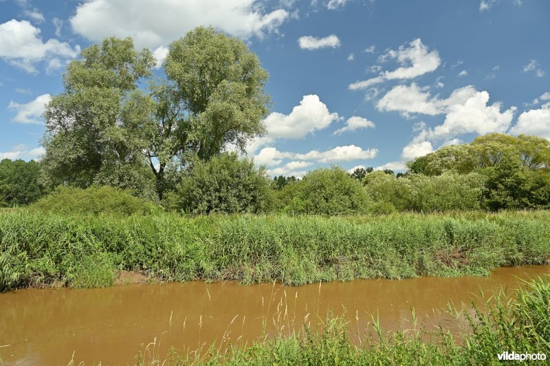 Demervallei: Rommelaar