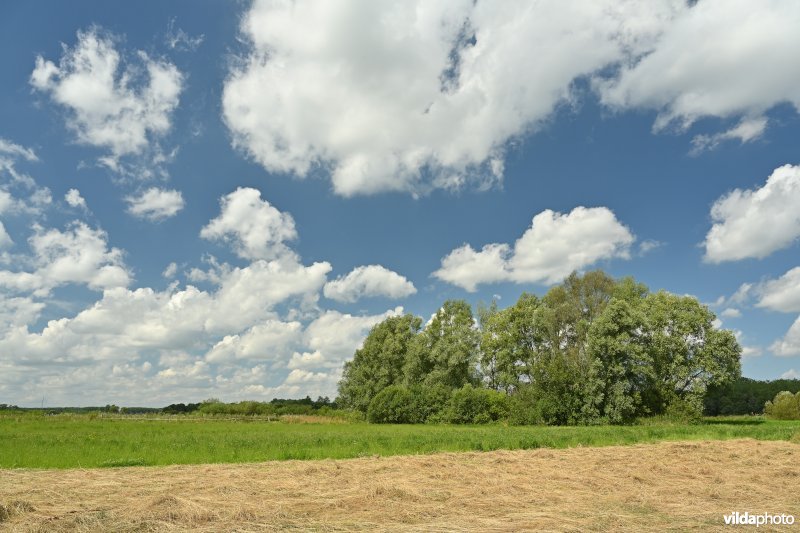 Demervallei: Rommelaar