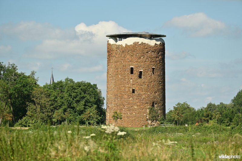 Demervallei: Maagdentoren 