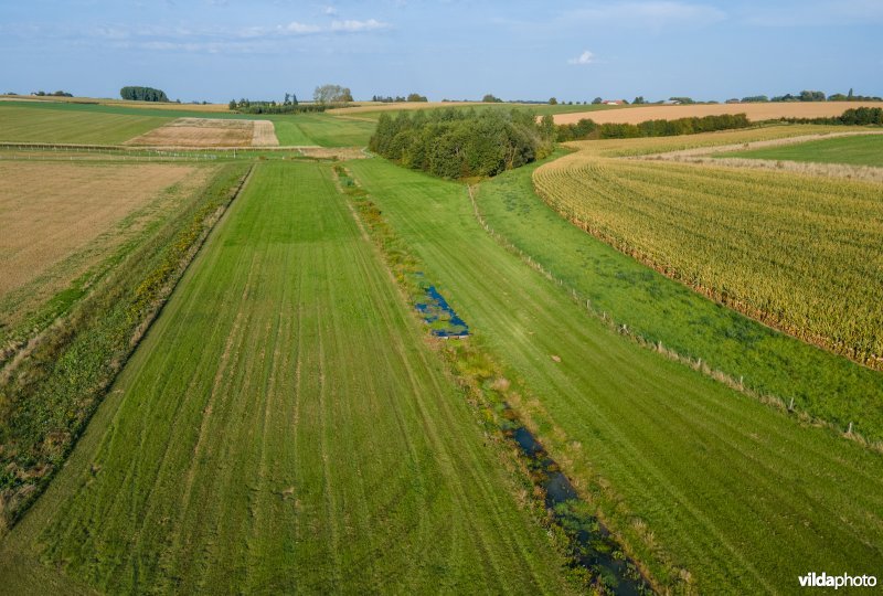 Natuurmaatregelen in agrarisch landschap