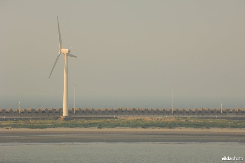 Windmolens in de voorhaven van Zeebrugge