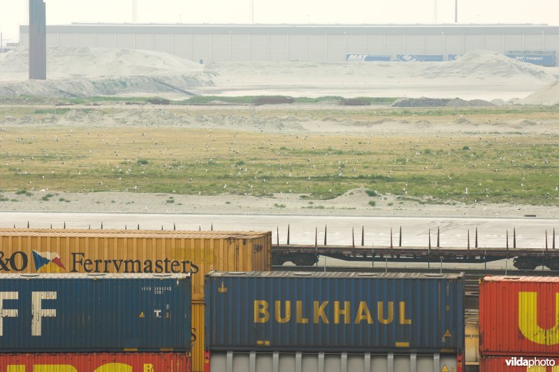 Voorhaven van Zeebrugge