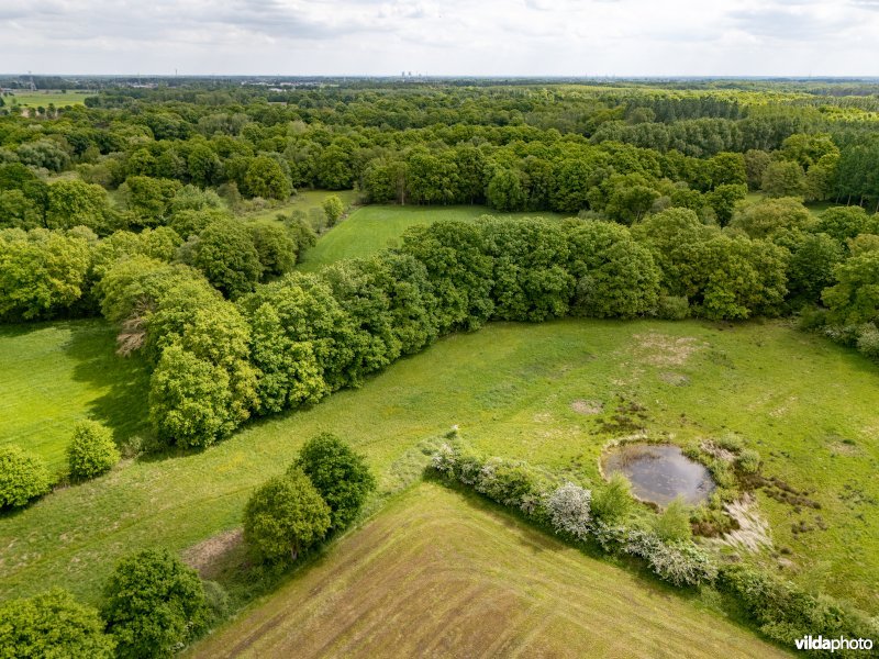 Natuurgebied De Brand