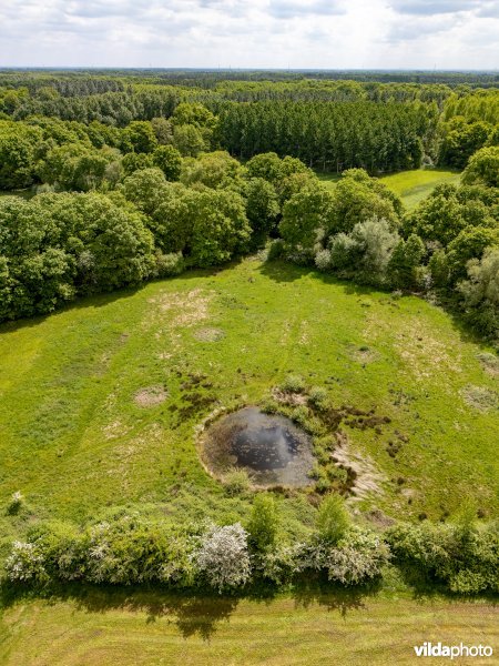 Natuurgebied De Brand