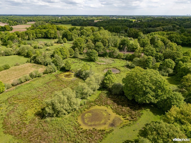 Natuurgebied De Brand