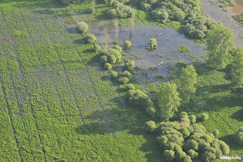 Natuurreservaat Demerbroeken