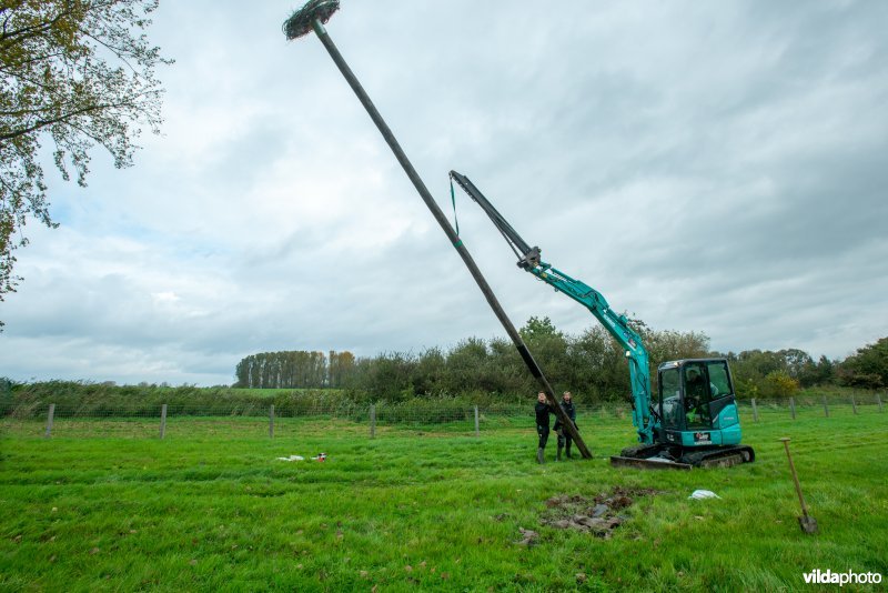 Ooievaarspalen plaatsen