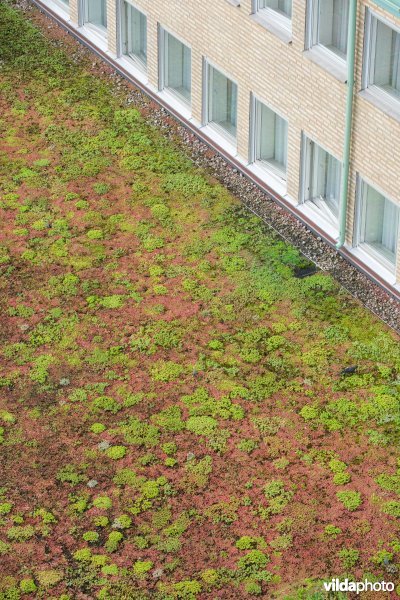 Groendak op een hotel