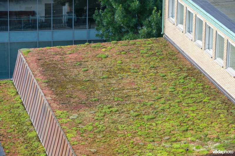 Groendak op een hotel