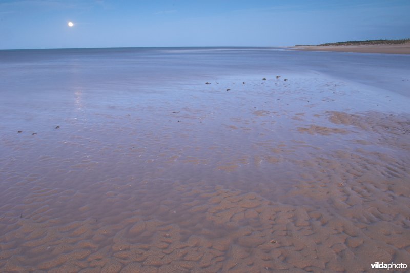 Holkhambay