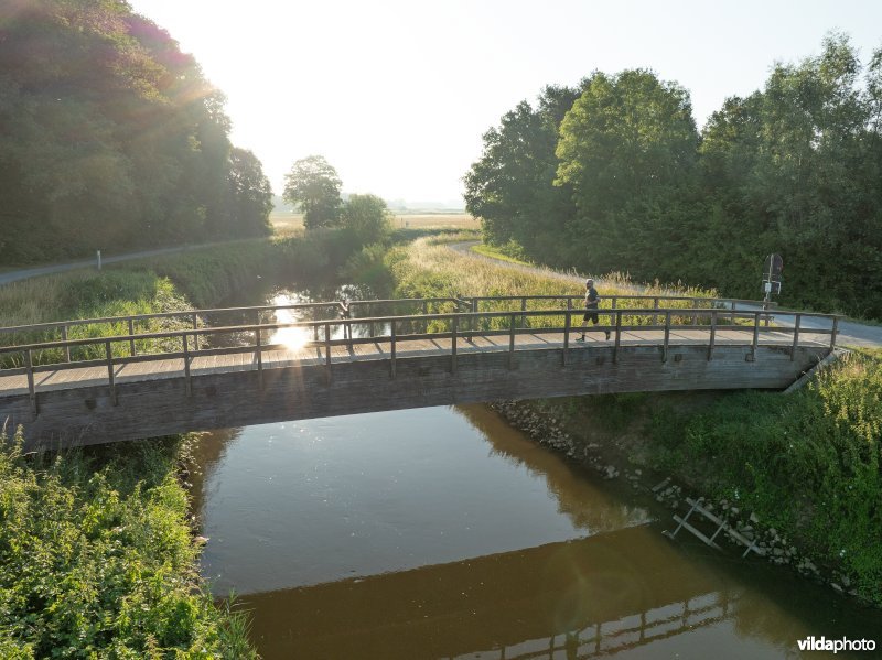 Demervallei: Langdorp