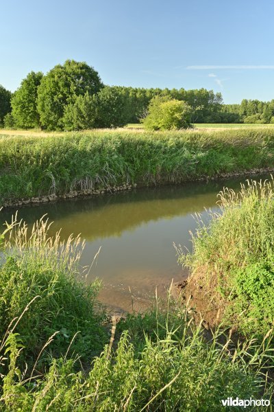 Demervallei: monding van de Laarbeek