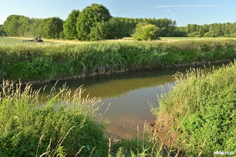 Demervallei: monding van de Laarbeek