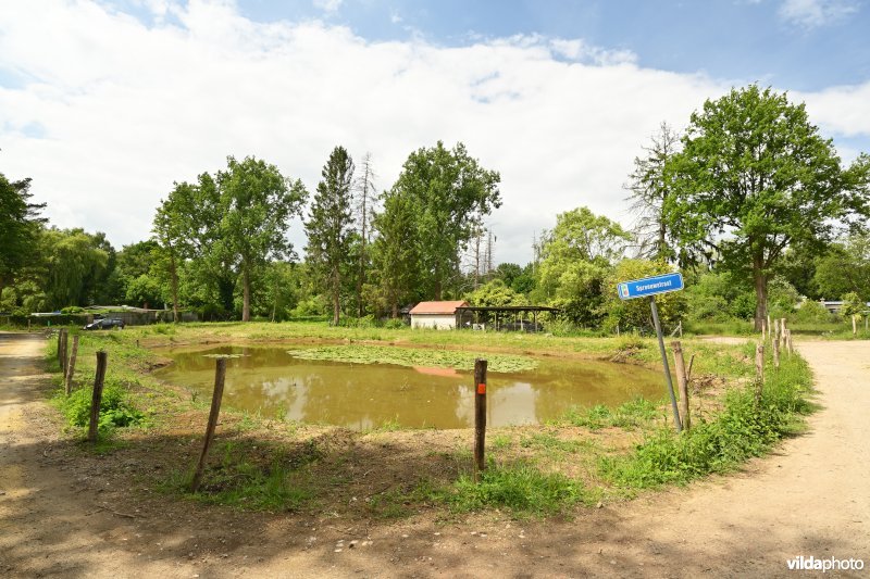 Demervallei: Doodbroek 