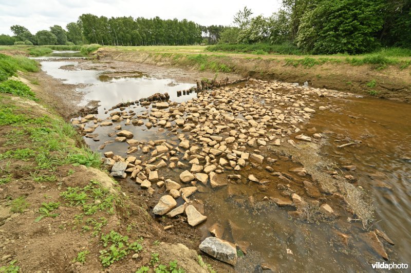 Demervallei: Kloosterbeemden