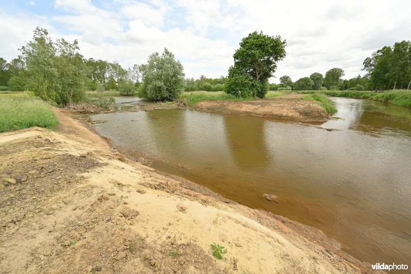 Demervallei: Kloosterbeemden