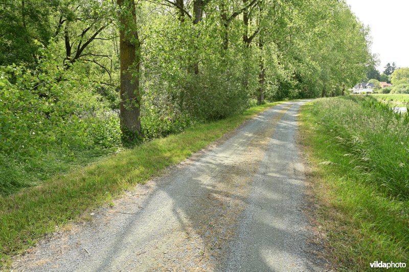 Demervallei: Molenstedebroek