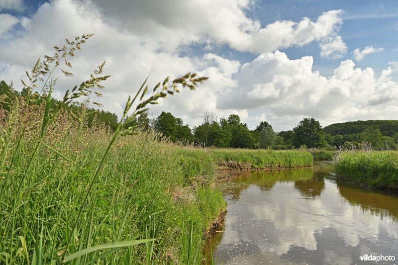 Demervallei: Vinkenberg