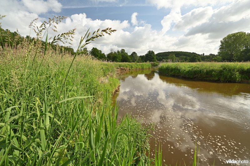 Demervallei: Vinkenberg