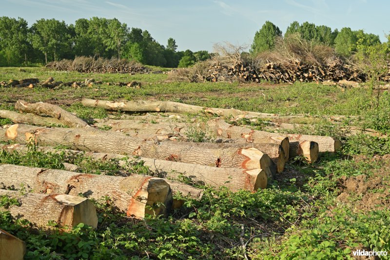 Bruggeneindse Laakvallei