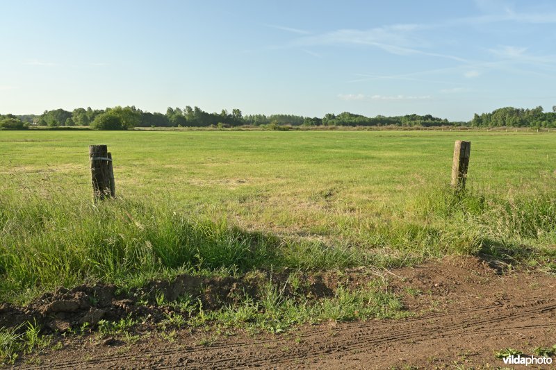 Bruggeneindse Laakvallei