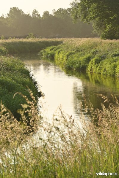 Grote Nete   