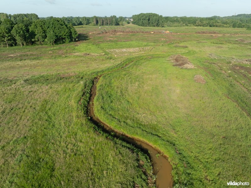 Bruggeneindse Laak in de Grote Netevallei