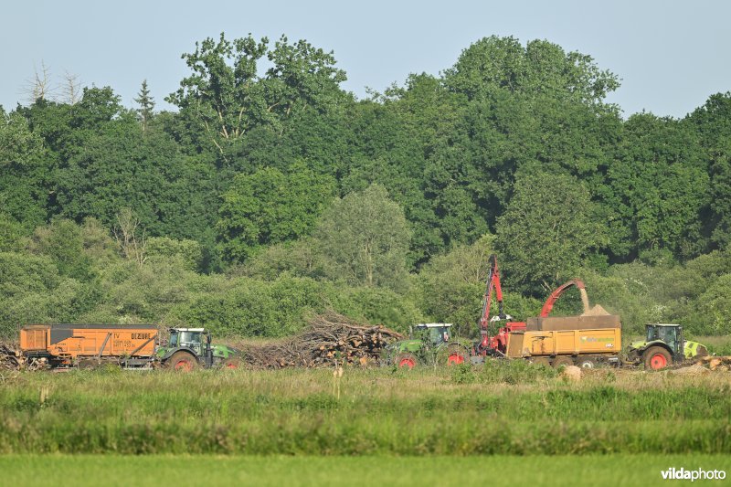 Bruggeneindse Laakvallei