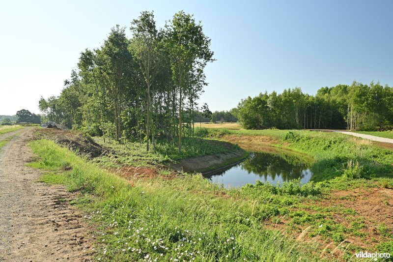 Demervallei: hermeandering