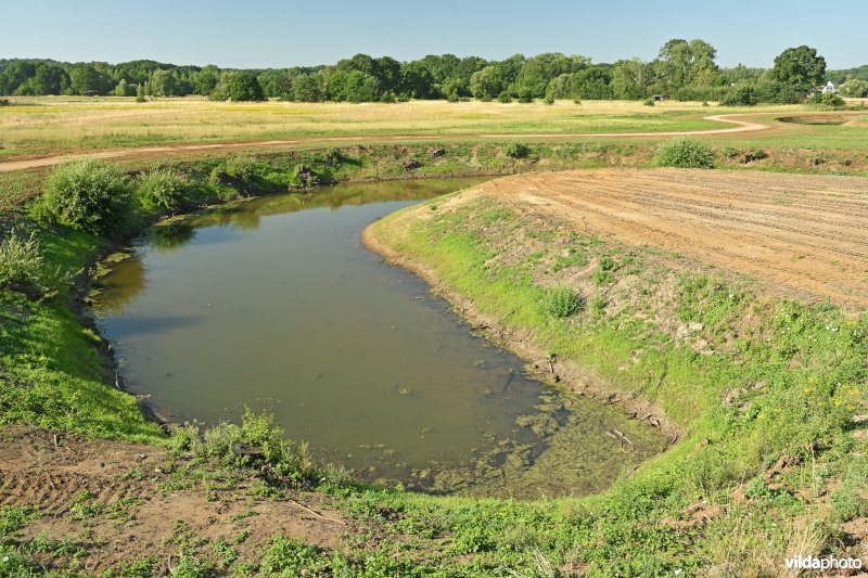 Demervallei: De Hammen  