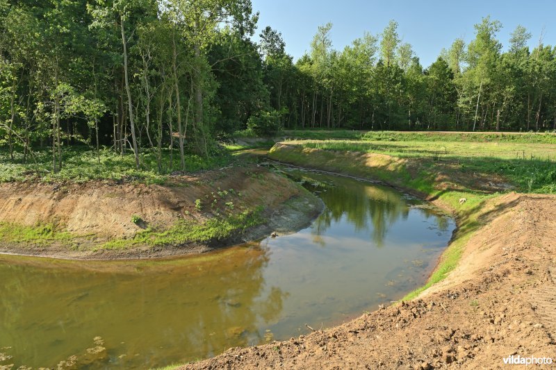 Demervallei: hermeandering