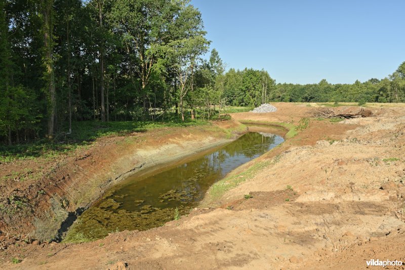 Demervallei: hermeandering