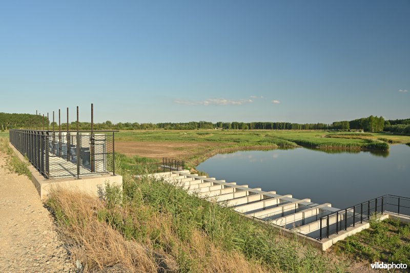 Vlassenbroekse polder 