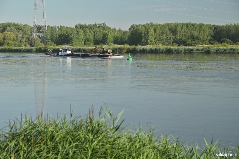 Groot Schoor te Bornem