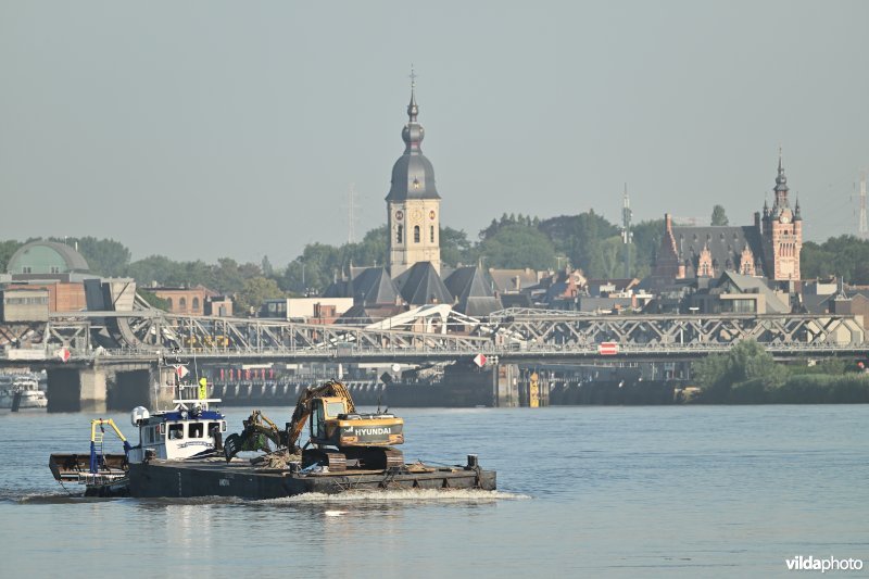 Schelde in Temse 