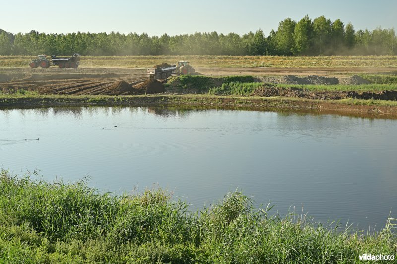 Groot Schoor te Bornem