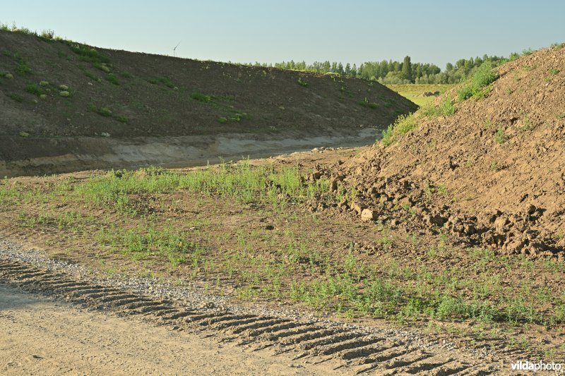 Groot Schoor te Bornem (R)