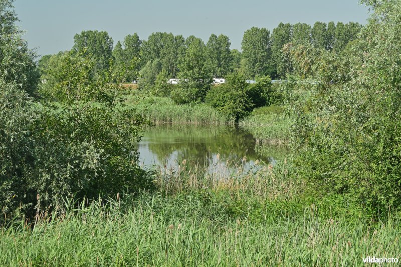 Zennegat (R)