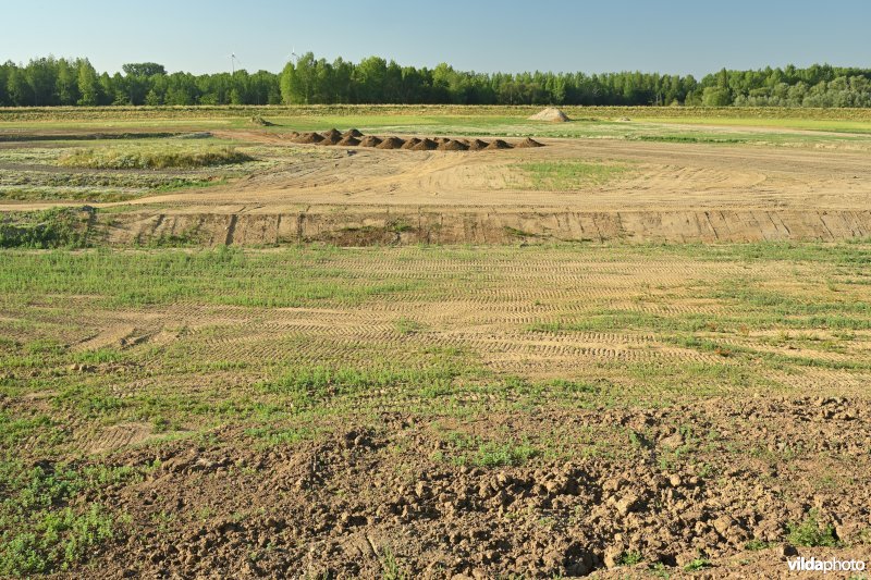 Groot Schoor te Bornem