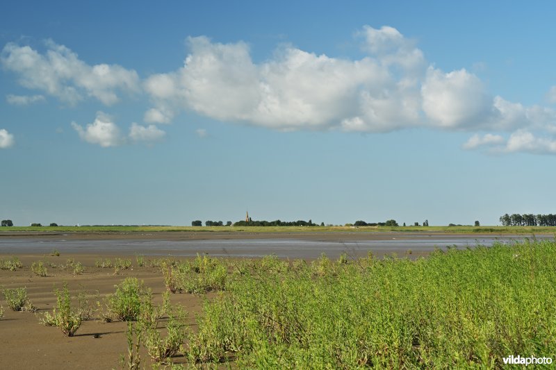 Hedwige-Prosperschor