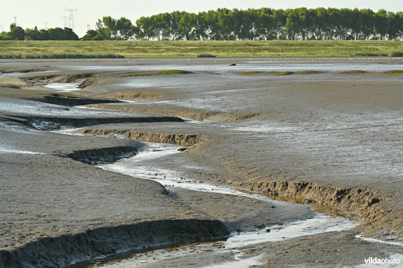 Hedwige-Prosperschor