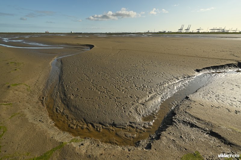 Hedwige-Prosperschor